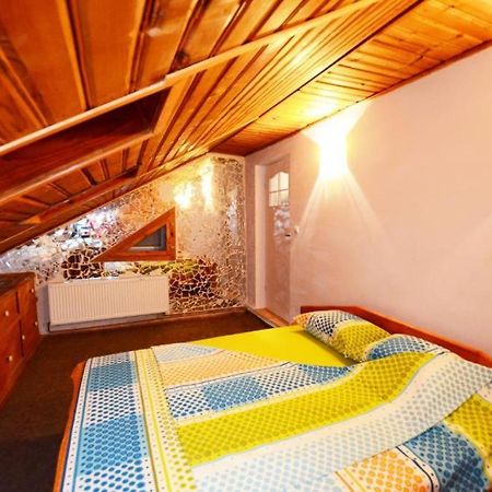 Rustic & Romantic Apartment Braşov Exterior foto
