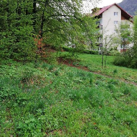 Rustic & Romantic Apartment Braşov Exterior foto