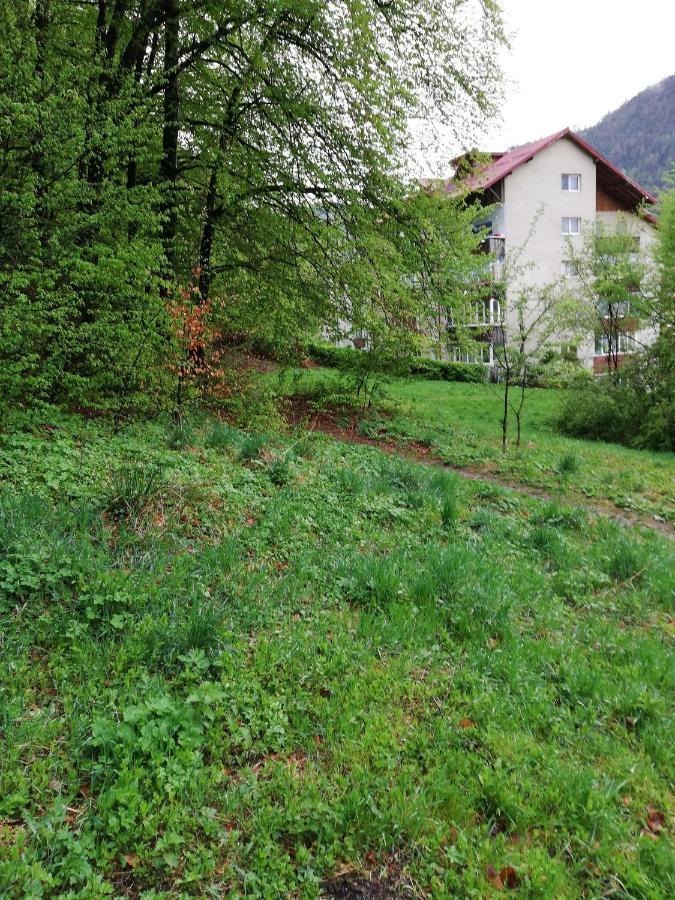 Rustic & Romantic Apartment Braşov Exterior foto