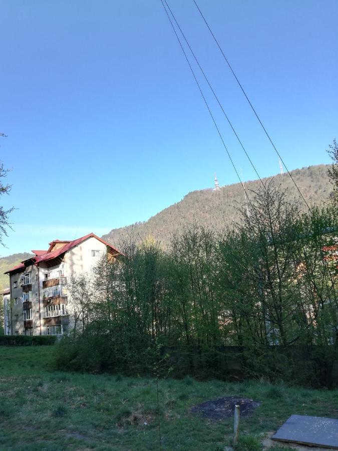 Rustic & Romantic Apartment Braşov Exterior foto