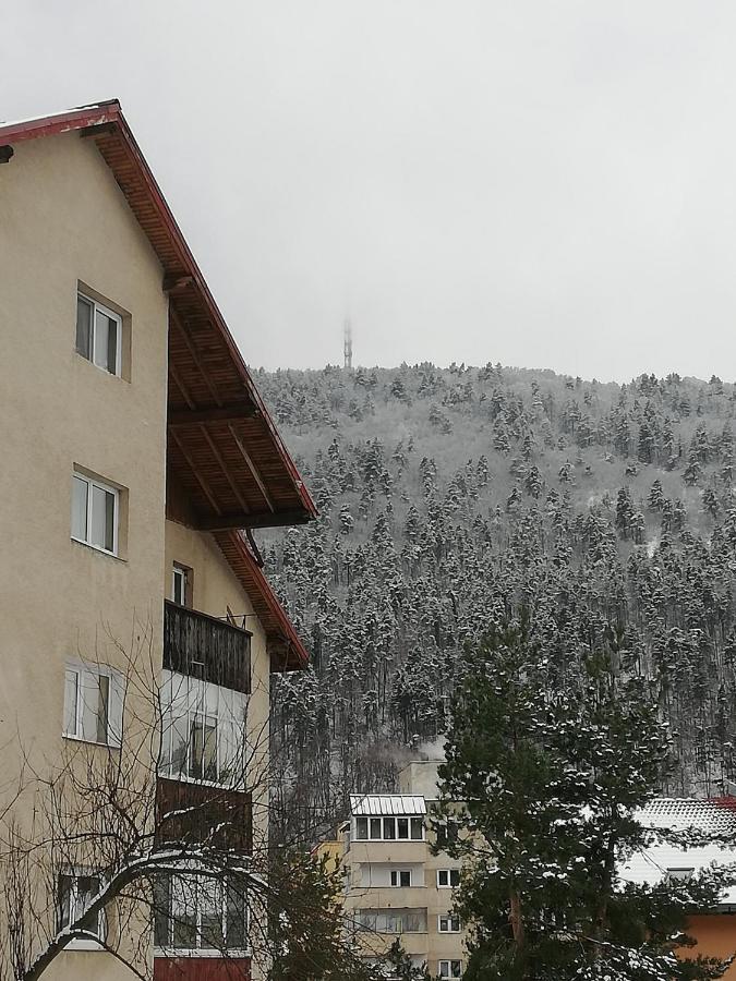 Rustic & Romantic Apartment Braşov Exterior foto