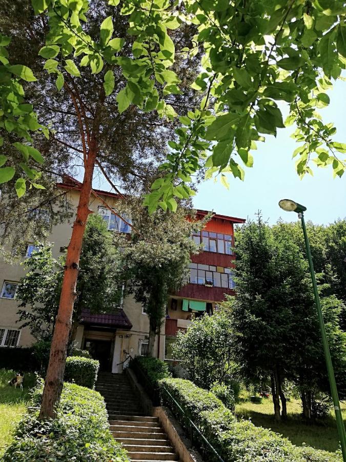 Rustic & Romantic Apartment Braşov Exterior foto